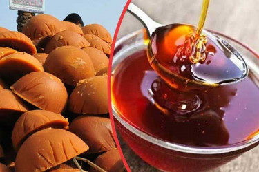 কেন খাবেন খেজুরের গুড়?