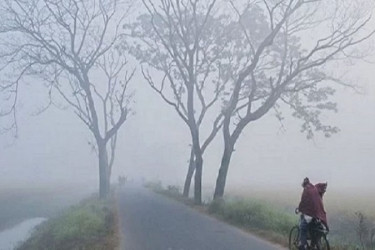 ৫ ডিগ্রির ঘরে নামলো পঞ্চগড়ের তাপমাত্রা