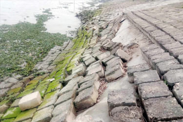 শরণখোলার গাবতলায় বেড়িবাঁধে ফের ভাঙন