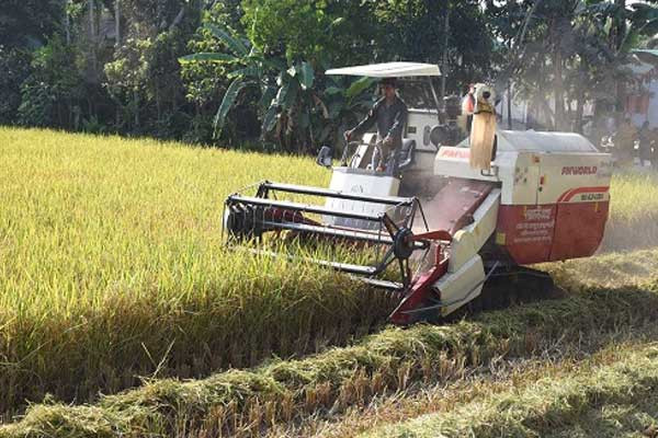 প্রযুক্তির আলোয় ঝলমলে কৃষি