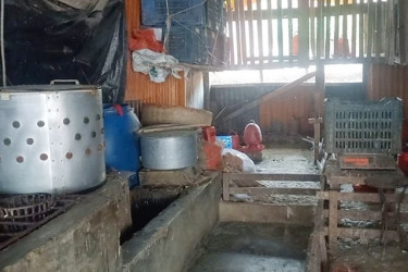 ঝালকাঠির বাজার থেকে হঠাৎ উধাও মুরগি
