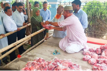 গরুর মাংস ৫৫০, ডিমের ডজন ১০০