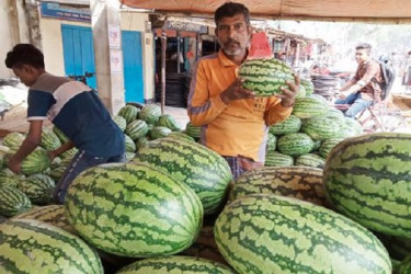 তরমুজের দাম অর্ধেকে নামলেও ক্রেতা পাওয়া যাচ্ছে না