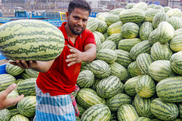 রাজধানীর ৫ জায়গায় ১০০ টাকায় তরমুজ বিক্রি