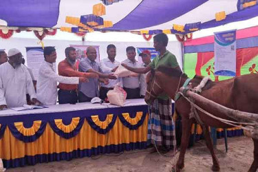 কুড়িগ্রামে ঈদ উপহার পেল ঘোড়া ও ঘোড়ার চালকরা