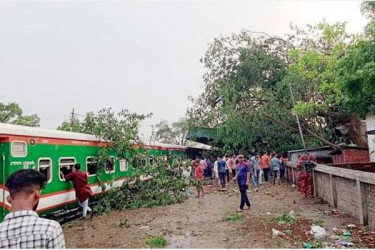 কালবৈশাখী ঝড়ে রেললাইনে ভেঙে পড়ল গাছ, ট্রেন যোগাযোগ বন্ধ