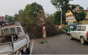 কালবৈশাখীর হানা, লন্ডভন্ড শ্রীমঙ্গল