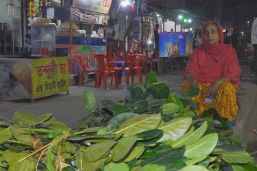জীবন যুদ্ধের হাতিয়ার যখন কাঁঠাল পাতা