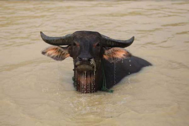 হিট অ্যালার্ট নিয়ে দুঃসংবাদ