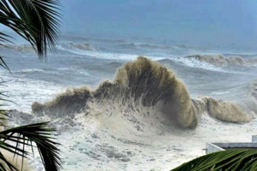 বিশেষ বিজ্ঞপ্তিতে যা জানালো আবহাওয়া অধিদপ্তর