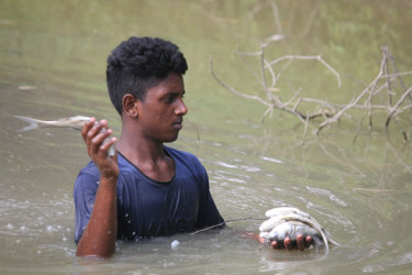 মাছের সঙ্গে শত্রুতা!