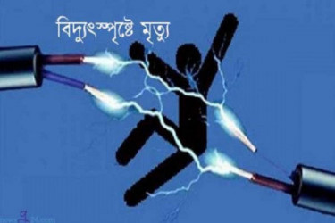 বিদ্যুৎস্পৃষ্ট ভাইকে বাঁচাতে গিয়ে প্রাণ গেল আরেক ভাইয়েরও