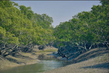 সুন্দরবনের দুয়ার বন্ধ থাকবে তিন মাস