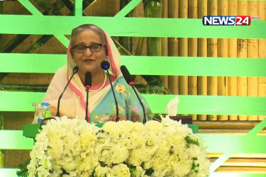 আন্দোলনের নামে বিএনপি-জামায়াত লক্ষ লক্ষ গাছ কেটেছে: প্রধানমন্ত্রী