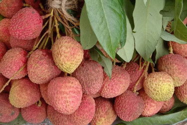 লিচুর উপকারিতা অনেক, খালিপেটে খেলে বিপদ