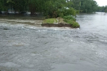 বুড়িতিস্তা নদীর বাঁধ ভেঙে প্রায় ১০টি গ্রাম প্লাবিত