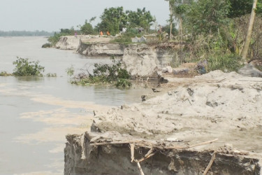 আবারো যমুনার পানি বাড়ছে