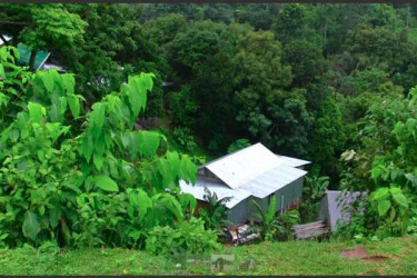 থামছে না বৃষ্টি, রাঙামাটিতে পাহাড় ধসের আশঙ্কা