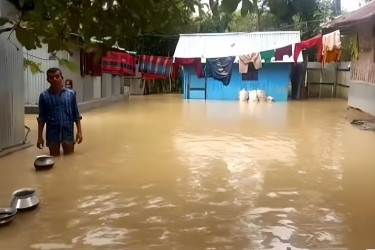 ফেনীর দুই উপজেলায় এইচএসসি ও সমমানের পরীক্ষা স্থগিত