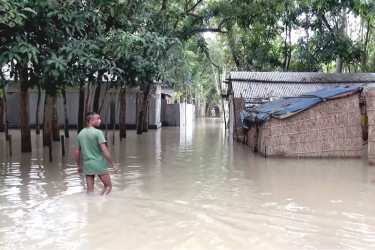 কুড়িগ্রামে বাড়ছে ধরলার পানি, অপরিবর্তিত জামালপুরের পরিস্থিতি