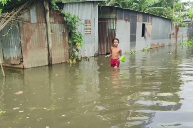 সিরাজগঞ্জে ভাঙন ও ভোগান্তি নিয়ে বাস করছে বানভাসী মানুষ