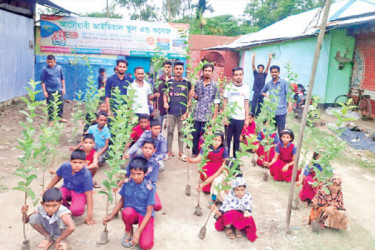 পঞ্চগড়ে বসুন্ধরা শুভসংঘের বৃক্ষরোপণ কর্মসূচি