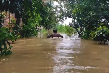 গলা পানিতে ডুবে গেছে ফেনী