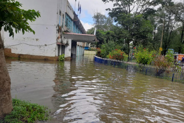 নোয়াখালীতে বন্যা পরিস্থিতি উন্নতি, খাদ্য সংকট- সাপ আতঙ্ক