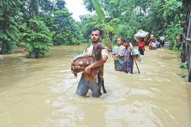 বন্যায় মৃত্যু বেড়ে ৫৪, ফেনী-কুমিল্লায় ৩৩