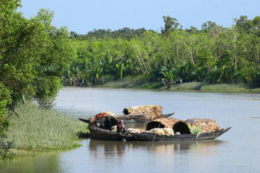 রোববার খুলছে সুন্দরবনের দুয়ার