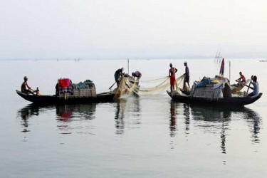 রাঙামাটি কাপ্তাই হ্রদে মাছ আহরণ শুরু