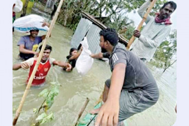 স্বেচ্ছাসেবী কর্মকাণ্ডই ‘আমের মক্কী’র নেশা ‌