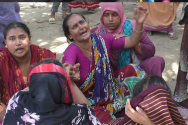 নড়াইলে বাড়ি থেকে ডেকে নিয়ে দুই ভাইকে কুপিয়ে হত্যা