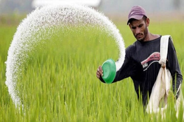 বাংলাদেশকে সার দিচ্ছে না সরবরাহকারীরা