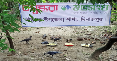 বিশ্ব প্রাণী দিবসে বসুন্ধরা শুভসংঘের নানাবিধ কার্যক্রম