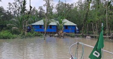 ছোট হয়ে যাচ্ছে সুন্দরবনের স্থলভাগের আয়তন