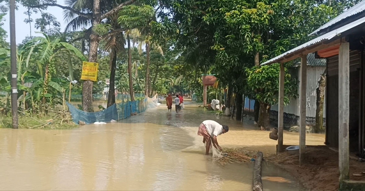 নেত্রকোনায় মানবেতর দিন কাটছে বন্যা কবলিত লক্ষাধিক মানুষ