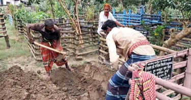 কবর থেকে ছাত্র আন্দোলনে নিহত শামসুর মরদেহ উত্তোলন