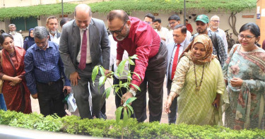 পরিবেশ বিষয়ে গবেষণা কার্যক্রম জোরদার করতে হবে: ঢাবি উপাচার্য