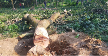 জামায়াত নেতার বিরুদ্ধে বিএনপি নেতার জমি দখলের অভিযোগ