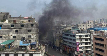 মিরপুরে সেনাবাহিনী ও পুলিশের গাড়িতে আগুন