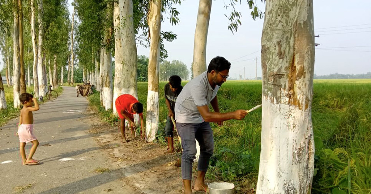 সড়কে সৌন্দর্য বর্ধনে বসুন্ধরা শুভসংঘ