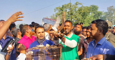 মুক্ত আকাশে উড়লো খাঁচা ভর্তি পাখি, দুই শিকারির জরিমানা