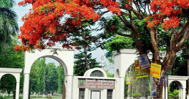 ইবিতে র‍্যাগিং: প্রতিবেদন চেয়েছে শিক্ষা মন্ত্রণালয়, সাক্ষাৎকার গ্রহণ