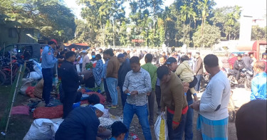 ঠাকুরগাঁওয়ে জমে উঠেছে কৃষকের বাজার