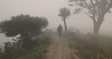 ঠাকুরগাঁওয়ে জেঁকে বসেছে শীত, তাপমাত্রা ১৩ ডিগ্রি