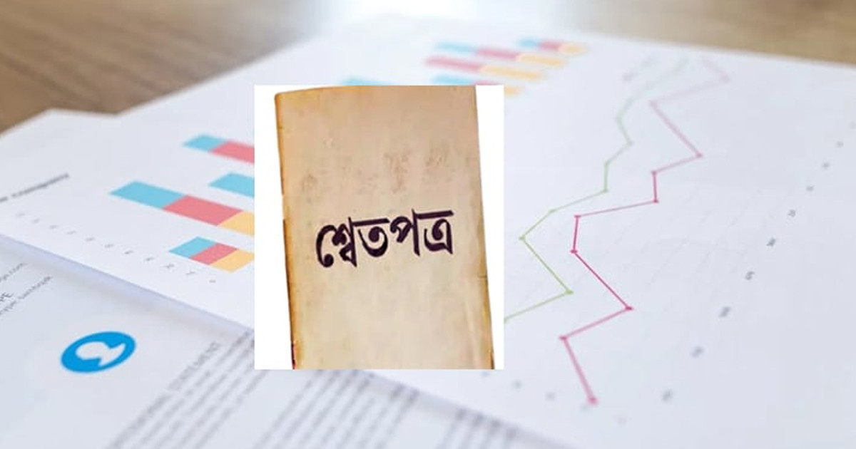 হাসিনার আমলে ‘উচ্চতর প্রবৃদ্ধি’র কাল্পনিক গল্প শোনানো হয়েছে: শ্বেতপত্র প্রণয়ন কমিটি