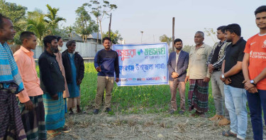 গাইবান্ধায় শুভসংঘের উদ্যোগে রাসায়নিক সারের ব্যবহার কমানোর উদ্যোগ