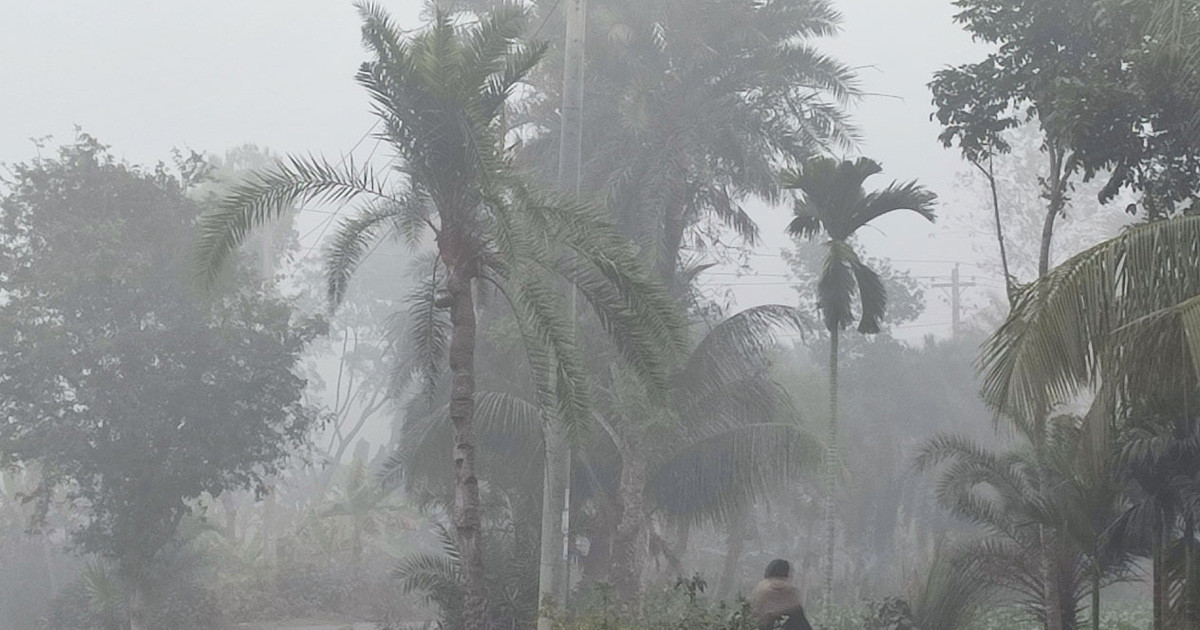 তিন বিভাগে বৃষ্টির আভাস, কমবে তাপমাত্রা