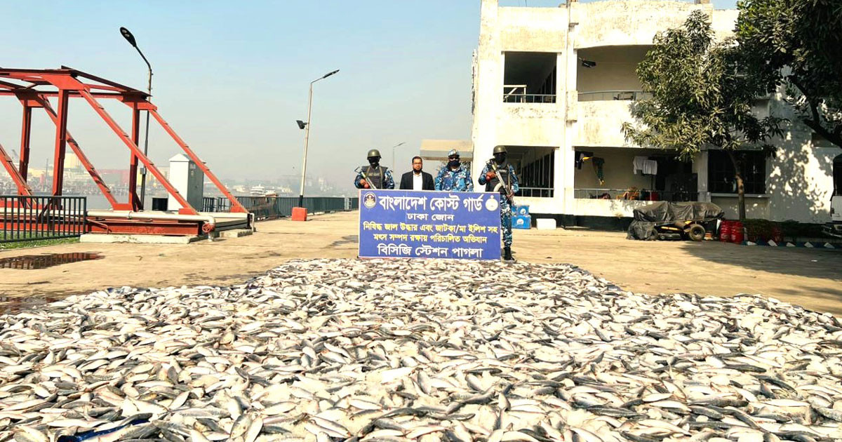 নারায়ণগঞ্জে কোস্ট গার্ডের অভিযানে প্রায় সাড়ে ৩ টন জাটকা ইলিশ জব্দ